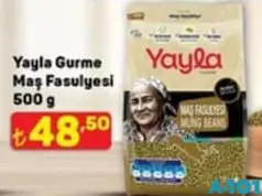 YAYLA GURME MAŞ FASULYESİ 500 G